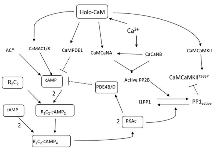 https://cdn.ncbi.nlm.nih.gov/pmc/blobs/642e/9501549/e4e62a0be269/molecules-27-05974-g003.jpg