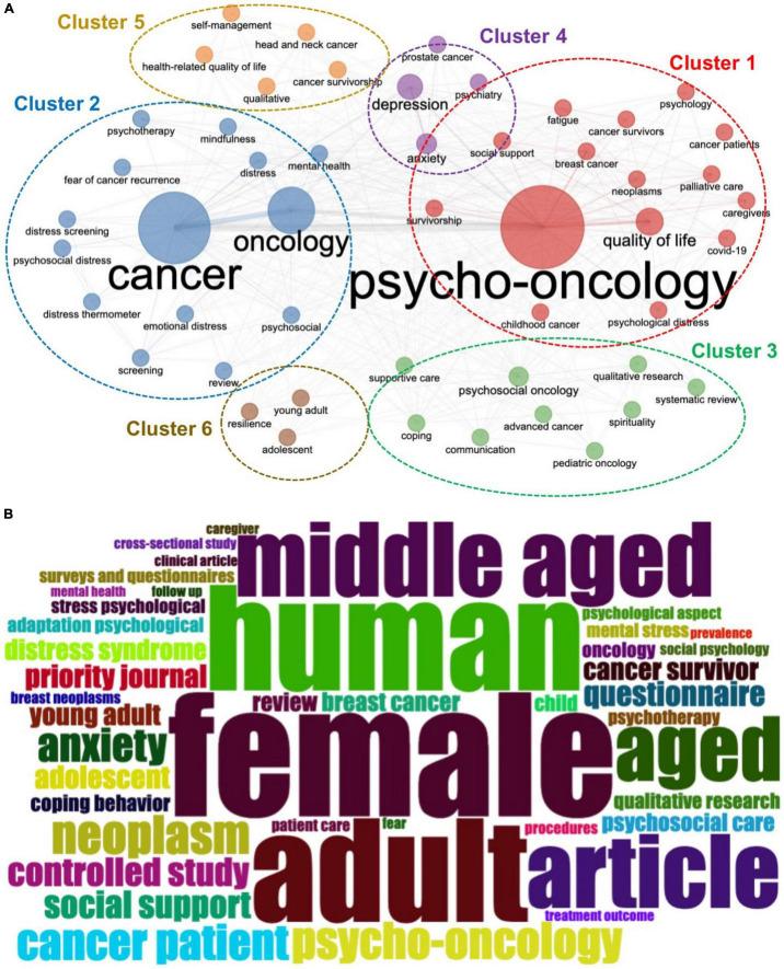 https://cdn.ncbi.nlm.nih.gov/pmc/blobs/642f/9326365/0c70eca0eada/fpsyg-13-947669-g009.jpg