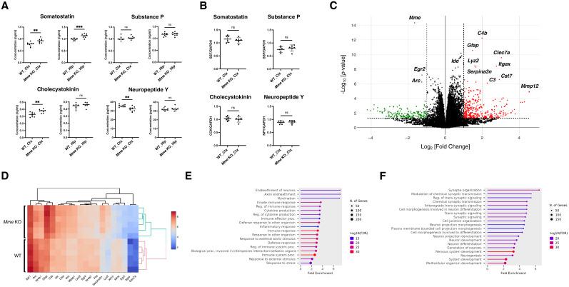 https://cdn.ncbi.nlm.nih.gov/pmc/blobs/6430/12139590/19b5968d1924/jneuro-45-e2152242025-g002.jpg