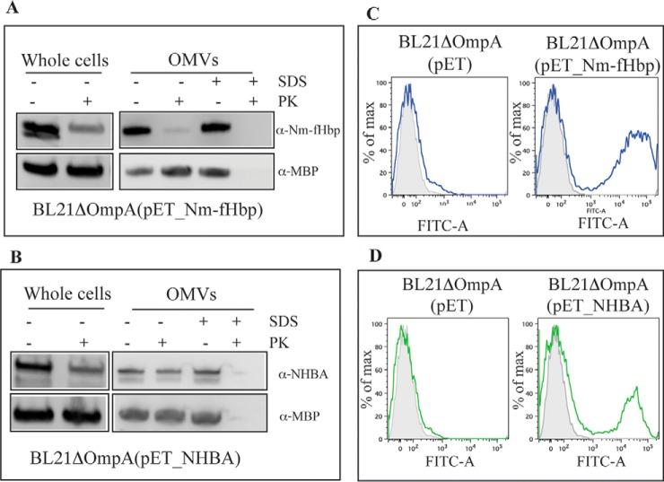 https://cdn.ncbi.nlm.nih.gov/pmc/blobs/6430/5500766/73a3e518c79b/zjw0071755740003.jpg