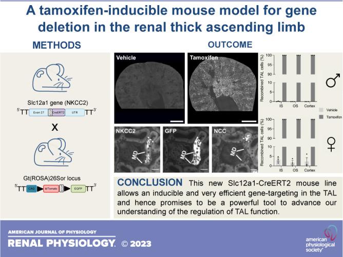 https://cdn.ncbi.nlm.nih.gov/pmc/blobs/6431/10085568/e27380bca3fe/f-00250-2022r01.jpg