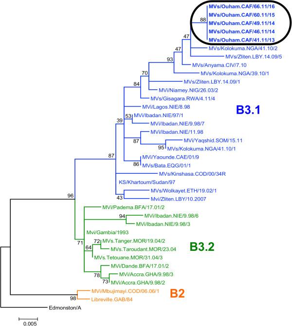 https://cdn.ncbi.nlm.nih.gov/pmc/blobs/6431/3599156/95ecfef3090f/1471-2334-13-103-2.jpg