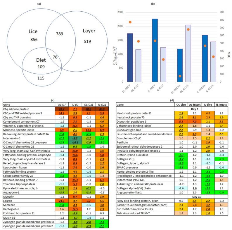 https://cdn.ncbi.nlm.nih.gov/pmc/blobs/6431/8073069/d18772a1341a/genes-12-00602-g003.jpg