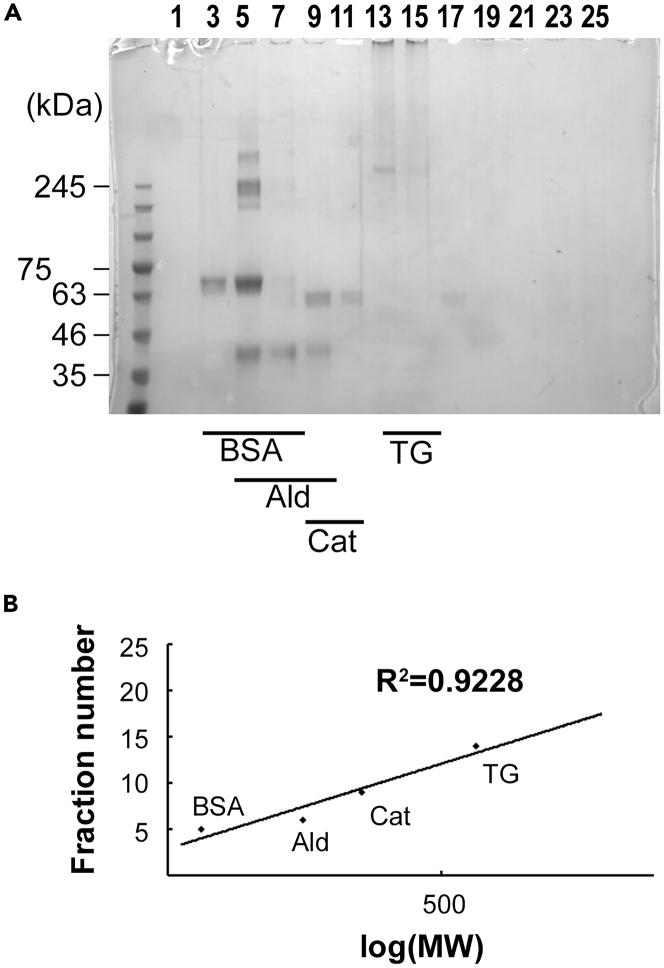 https://cdn.ncbi.nlm.nih.gov/pmc/blobs/6431/9881401/adab8a46d587/gr2.jpg