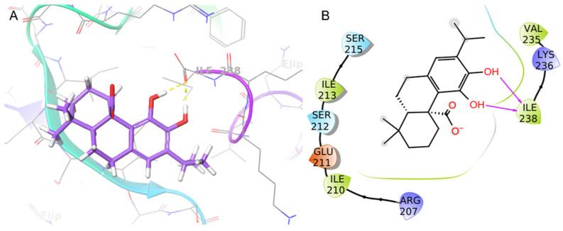 https://cdn.ncbi.nlm.nih.gov/pmc/blobs/6432/10647425/3a235a124560/plants-12-03679-g006.jpg