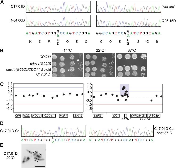 https://cdn.ncbi.nlm.nih.gov/pmc/blobs/6437/3948802/196178d3bdc0/711fig2.jpg