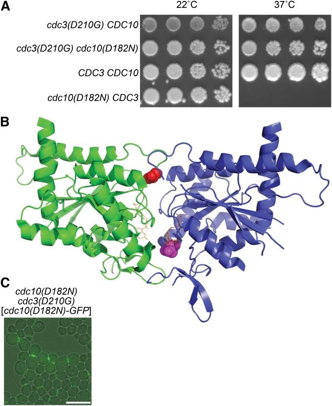 https://cdn.ncbi.nlm.nih.gov/pmc/blobs/6437/3948802/ef023fd2beb9/711fig6.jpg