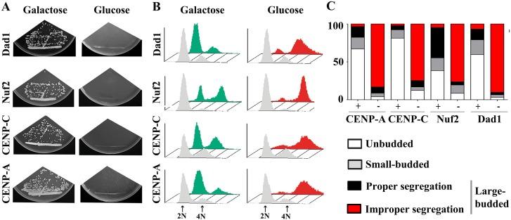 https://cdn.ncbi.nlm.nih.gov/pmc/blobs/6437/4741521/0707c063e298/pgen.1005839.g002.jpg