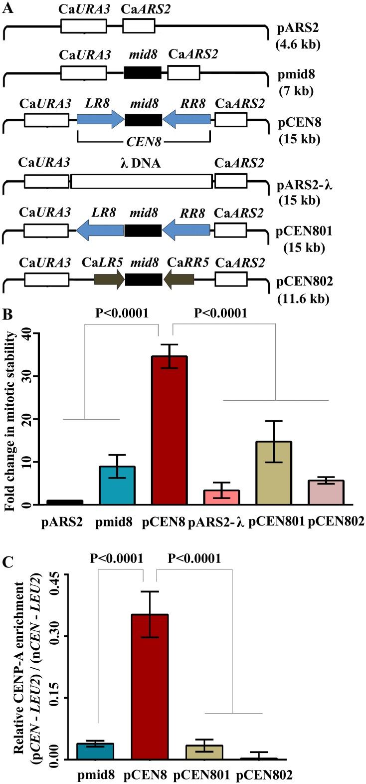 https://cdn.ncbi.nlm.nih.gov/pmc/blobs/6437/4741521/b7a2a7799498/pgen.1005839.g006.jpg