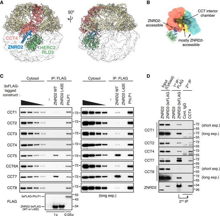 https://cdn.ncbi.nlm.nih.gov/pmc/blobs/6438/10501995/01e373fed96e/gr6.jpg