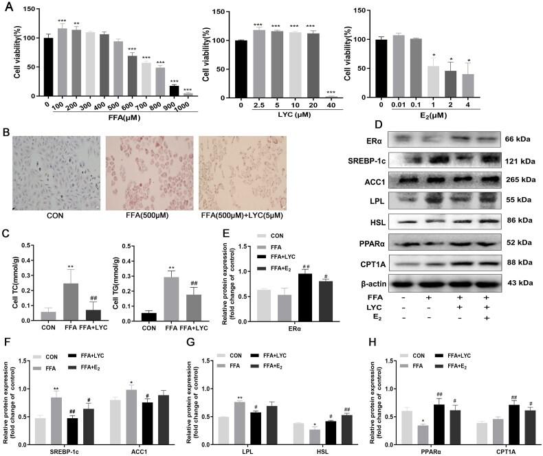 https://cdn.ncbi.nlm.nih.gov/pmc/blobs/6438/12013139/3c9997b9d791/IANN_A_2479585_F0005_C.jpg