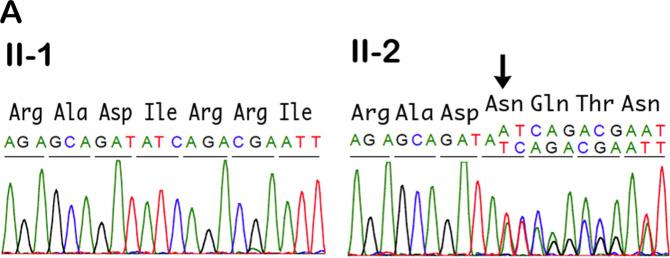 https://cdn.ncbi.nlm.nih.gov/pmc/blobs/6438/8292333/04ceb3ae46d8/41439_2021_162_Fig2_HTML.jpg
