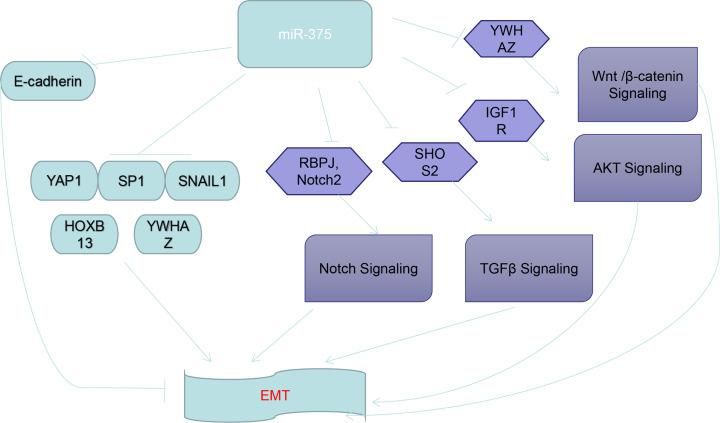 https://cdn.ncbi.nlm.nih.gov/pmc/blobs/6438/8458691/c31425edbec5/bsr-41-bsr20211494-g2.jpg