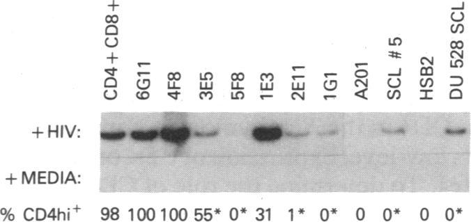 https://cdn.ncbi.nlm.nih.gov/pmc/blobs/643d/54821/e94dfb1bbced/pnas01044-0392-a.jpg