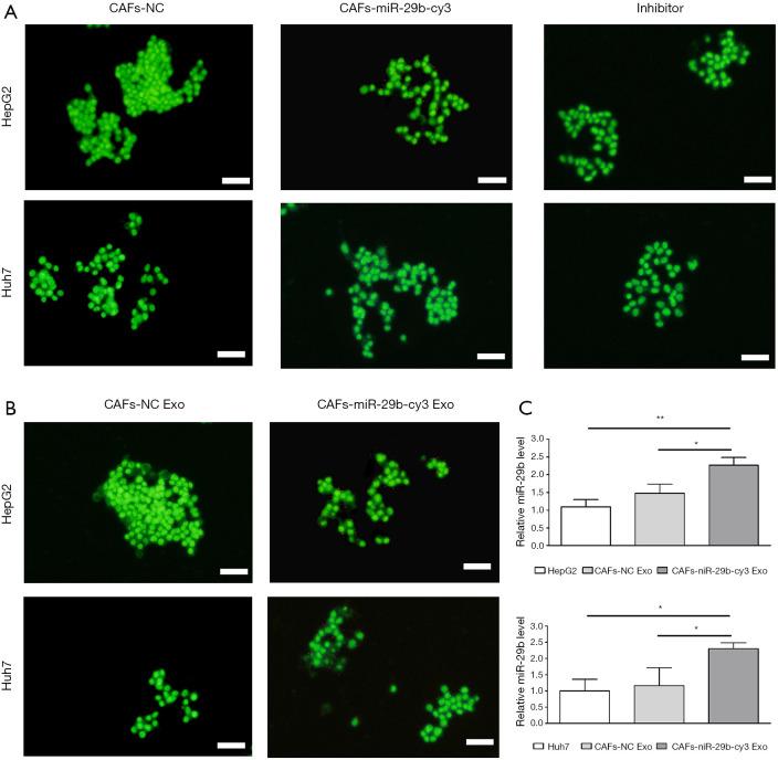 https://cdn.ncbi.nlm.nih.gov/pmc/blobs/643d/8797999/449aae7e8777/tcr-09-04-2576-f3.jpg