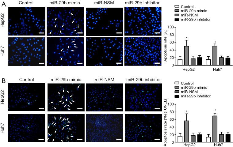 https://cdn.ncbi.nlm.nih.gov/pmc/blobs/643d/8797999/6488fbae09e5/tcr-09-04-2576-f5.jpg