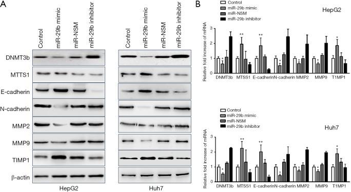 https://cdn.ncbi.nlm.nih.gov/pmc/blobs/643d/8797999/fb9701b31864/tcr-09-04-2576-f6.jpg