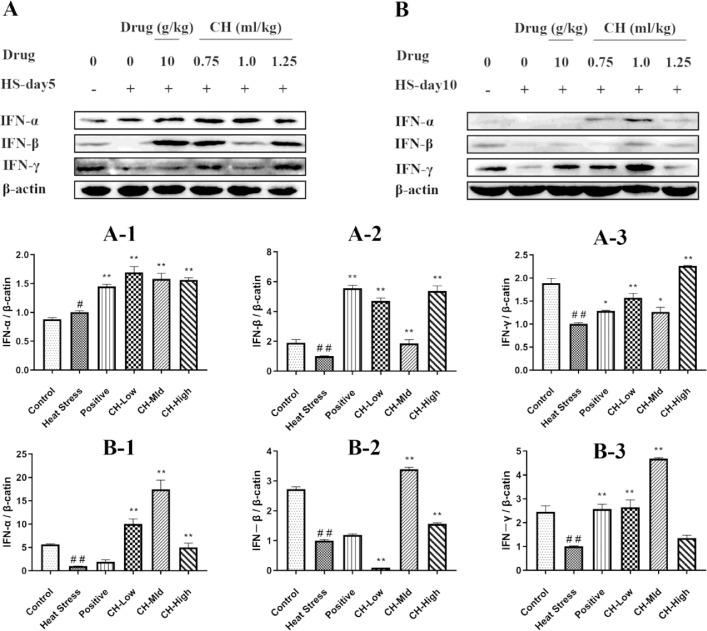 https://cdn.ncbi.nlm.nih.gov/pmc/blobs/643e/8313588/a3234cc61a6f/gr3.jpg