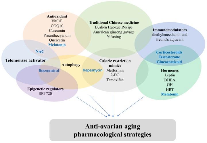 https://cdn.ncbi.nlm.nih.gov/pmc/blobs/6440/6366956/bef7895ad6a3/aging-11-101784-g001.jpg