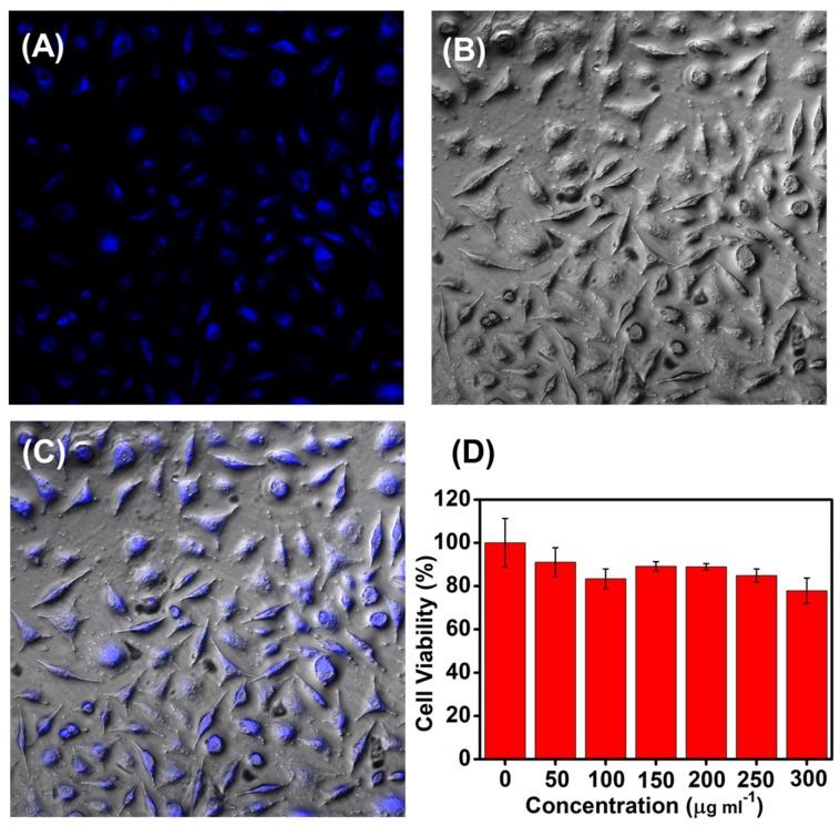 https://cdn.ncbi.nlm.nih.gov/pmc/blobs/6441/6630415/8176b9d3d410/nanomaterials-09-00906-g004.jpg