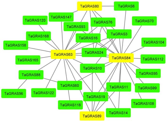 https://cdn.ncbi.nlm.nih.gov/pmc/blobs/6443/10618205/47886d4b61fc/41598_2023_45051_Fig5_HTML.jpg