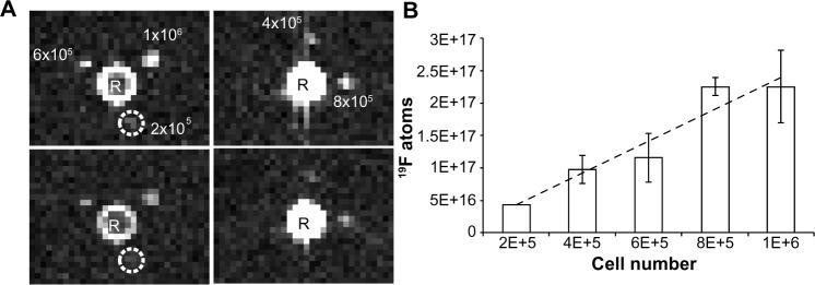 https://cdn.ncbi.nlm.nih.gov/pmc/blobs/6444/3986292/a1a0edf30f1a/ijn-9-1731Fig3.jpg