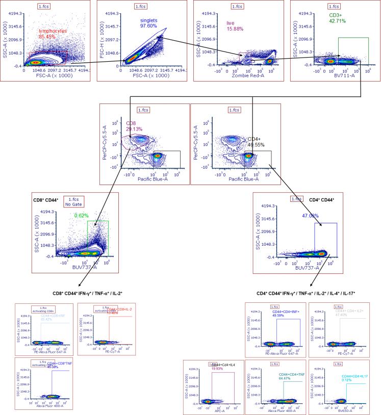 https://cdn.ncbi.nlm.nih.gov/pmc/blobs/6445/11200293/07e7872d4988/figs4.jpg