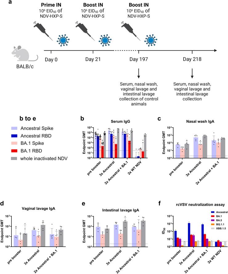 https://cdn.ncbi.nlm.nih.gov/pmc/blobs/6445/11200293/3f83b977834b/gr5.jpg