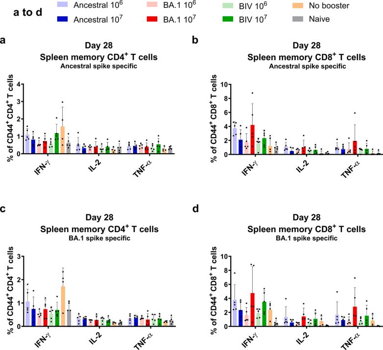 https://cdn.ncbi.nlm.nih.gov/pmc/blobs/6445/11200293/542f5b8b02fd/figs5.jpg