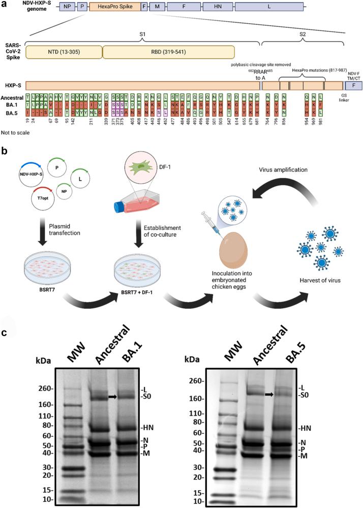 https://cdn.ncbi.nlm.nih.gov/pmc/blobs/6445/11200293/88e042043e4b/gr1.jpg