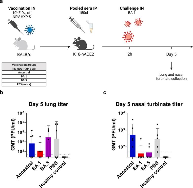 https://cdn.ncbi.nlm.nih.gov/pmc/blobs/6445/11200293/962ee04979ec/figs1.jpg