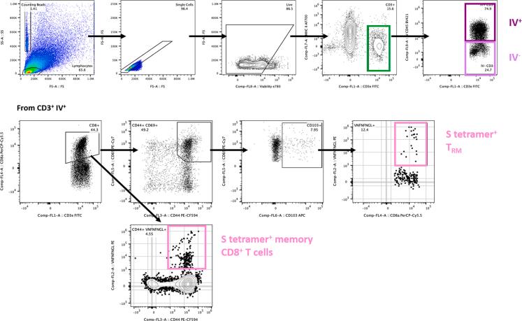 https://cdn.ncbi.nlm.nih.gov/pmc/blobs/6445/11200293/be3c15d12c1e/figs3.jpg