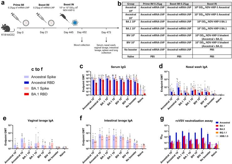 https://cdn.ncbi.nlm.nih.gov/pmc/blobs/6445/11200293/be89388c56e1/gr7.jpg