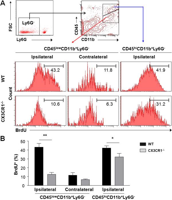 https://cdn.ncbi.nlm.nih.gov/pmc/blobs/6445/3942808/8288c3c4bf8f/1742-2094-11-26-4.jpg