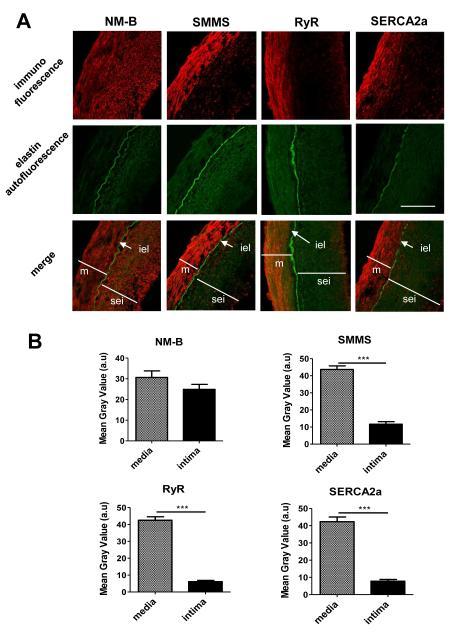 https://cdn.ncbi.nlm.nih.gov/pmc/blobs/644b/3465616/3438f32033e7/nihms-382285-f0001.jpg