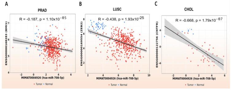 https://cdn.ncbi.nlm.nih.gov/pmc/blobs/644b/9777992/33a31f713452/genes-13-02375-g008.jpg