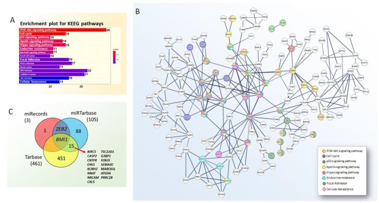 https://cdn.ncbi.nlm.nih.gov/pmc/blobs/644b/9777992/f78c0f180df4/genes-13-02375-g006.jpg