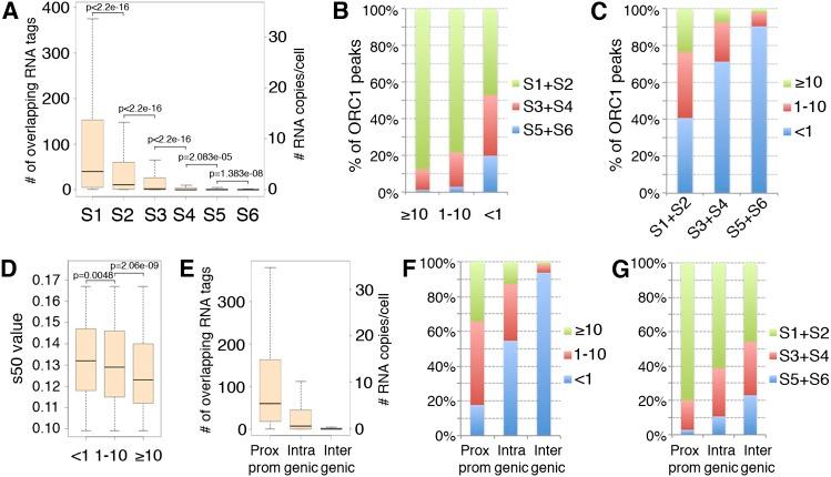 https://cdn.ncbi.nlm.nih.gov/pmc/blobs/644d/3530669/772e54de6d2b/1fig6.jpg