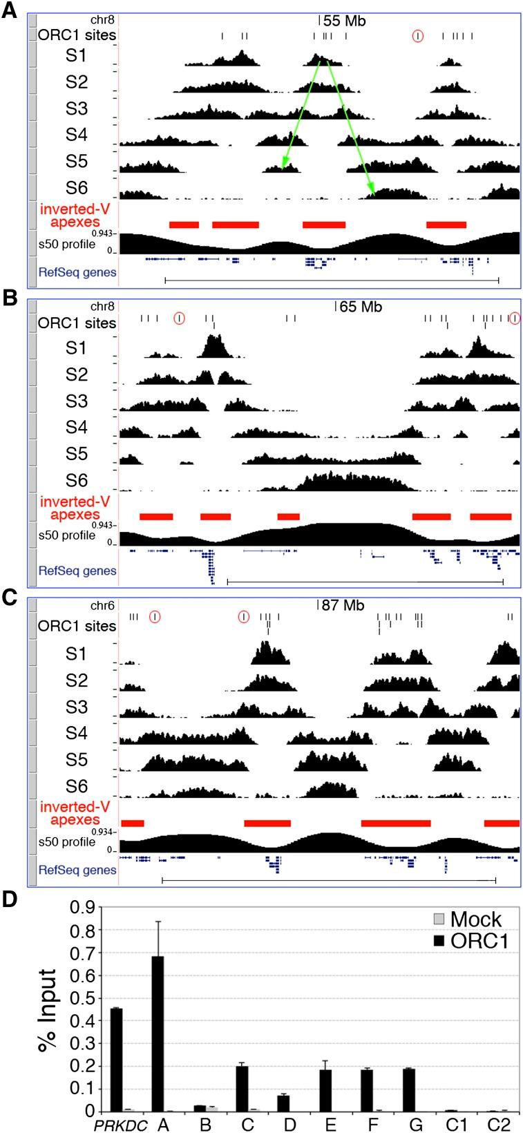 https://cdn.ncbi.nlm.nih.gov/pmc/blobs/644d/3530669/82ddce750384/1fig3.jpg