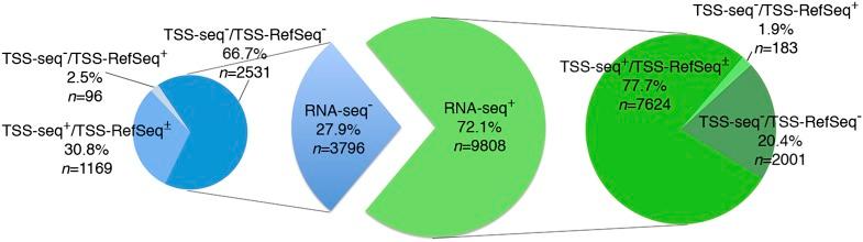 https://cdn.ncbi.nlm.nih.gov/pmc/blobs/644d/3530669/8f56d854293b/1fig5.jpg