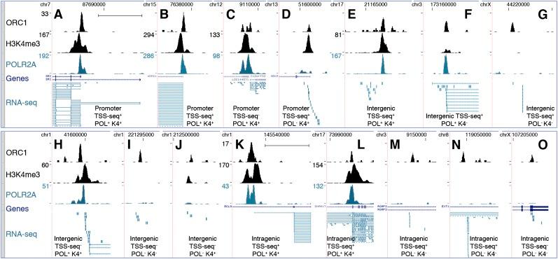 https://cdn.ncbi.nlm.nih.gov/pmc/blobs/644d/3530669/fadf1d7fceb5/1fig4.jpg