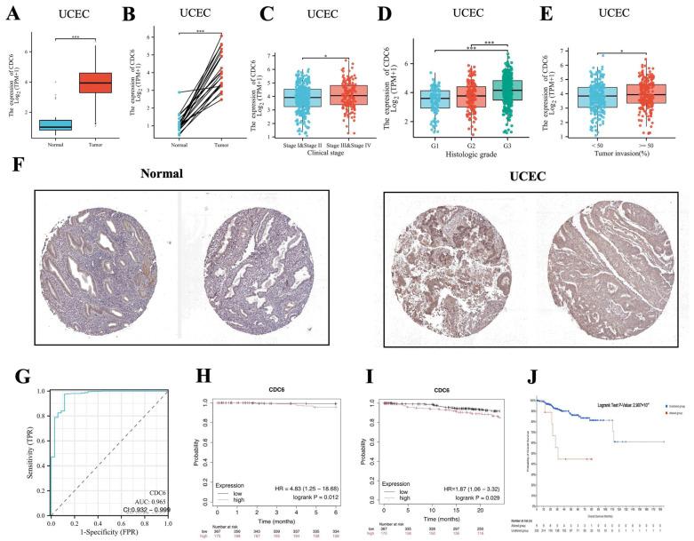 https://cdn.ncbi.nlm.nih.gov/pmc/blobs/6451/11640967/630c1ef2d035/ijms-25-12974-g008.jpg