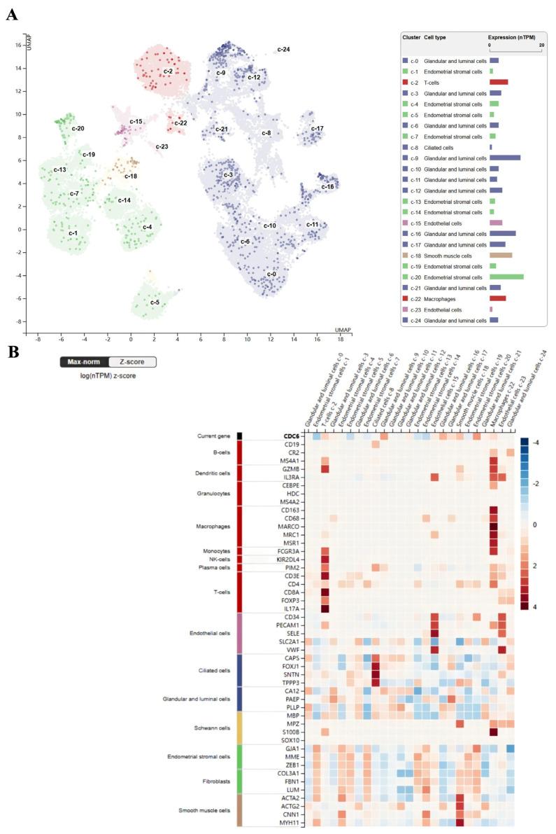 https://cdn.ncbi.nlm.nih.gov/pmc/blobs/6451/11640967/74ca1206e1d1/ijms-25-12974-g006.jpg