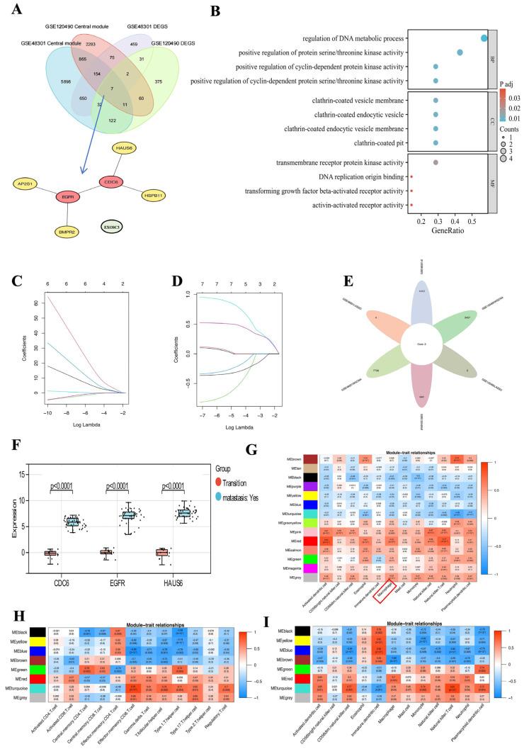 https://cdn.ncbi.nlm.nih.gov/pmc/blobs/6451/11640967/b7ed854e5119/ijms-25-12974-g005.jpg