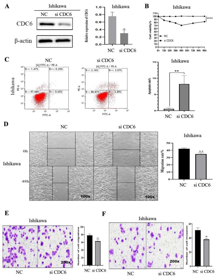 https://cdn.ncbi.nlm.nih.gov/pmc/blobs/6451/11640967/be18d313239a/ijms-25-12974-g010.jpg