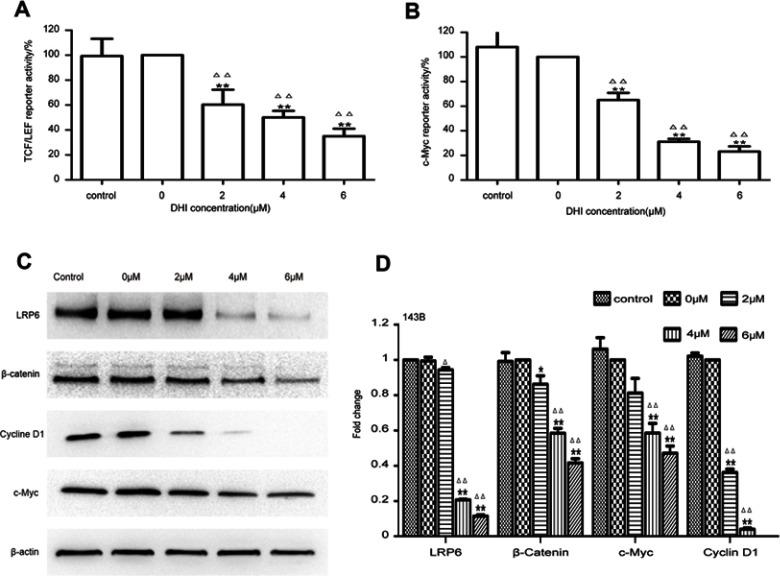 https://cdn.ncbi.nlm.nih.gov/pmc/blobs/6451/6613458/61a1ac48ea08/OTT-12-5111-g0004.jpg