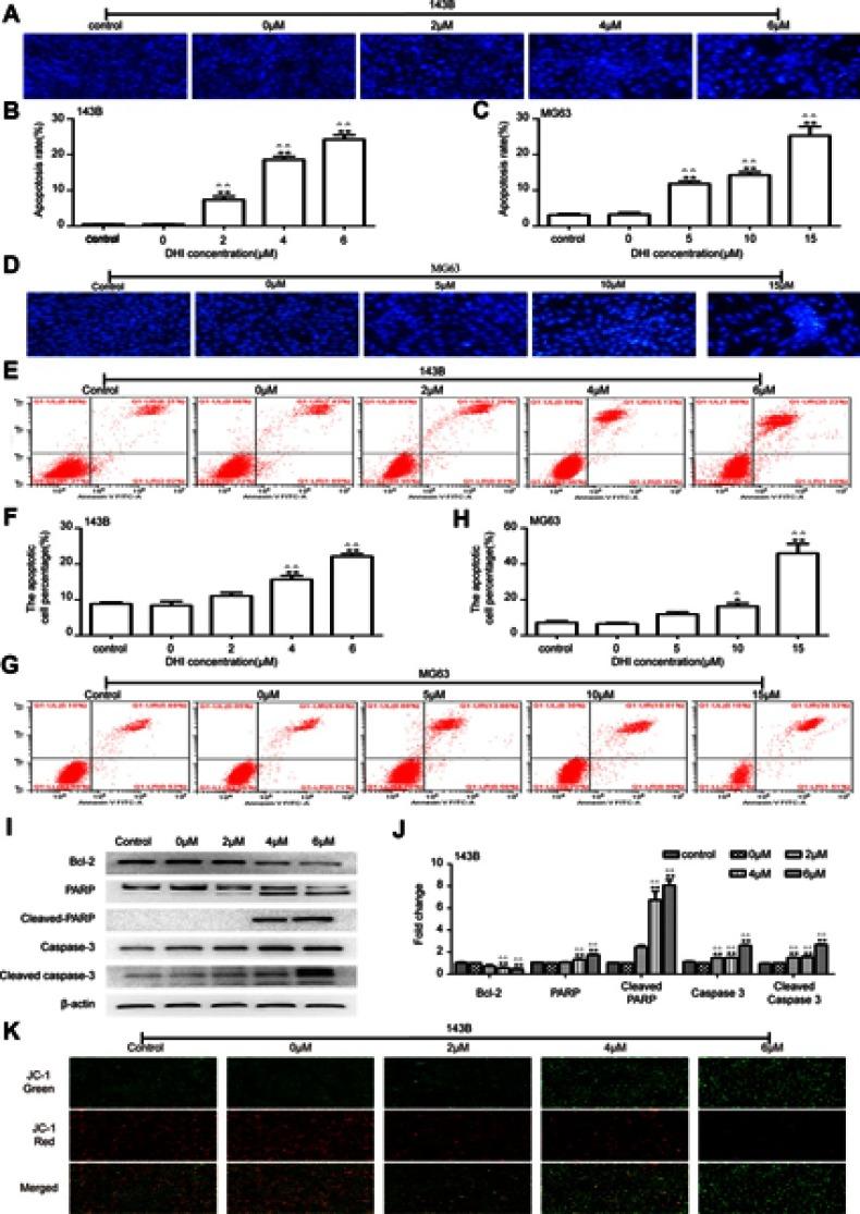 https://cdn.ncbi.nlm.nih.gov/pmc/blobs/6451/6613458/feb41630fcfc/OTT-12-5111-g0003.jpg