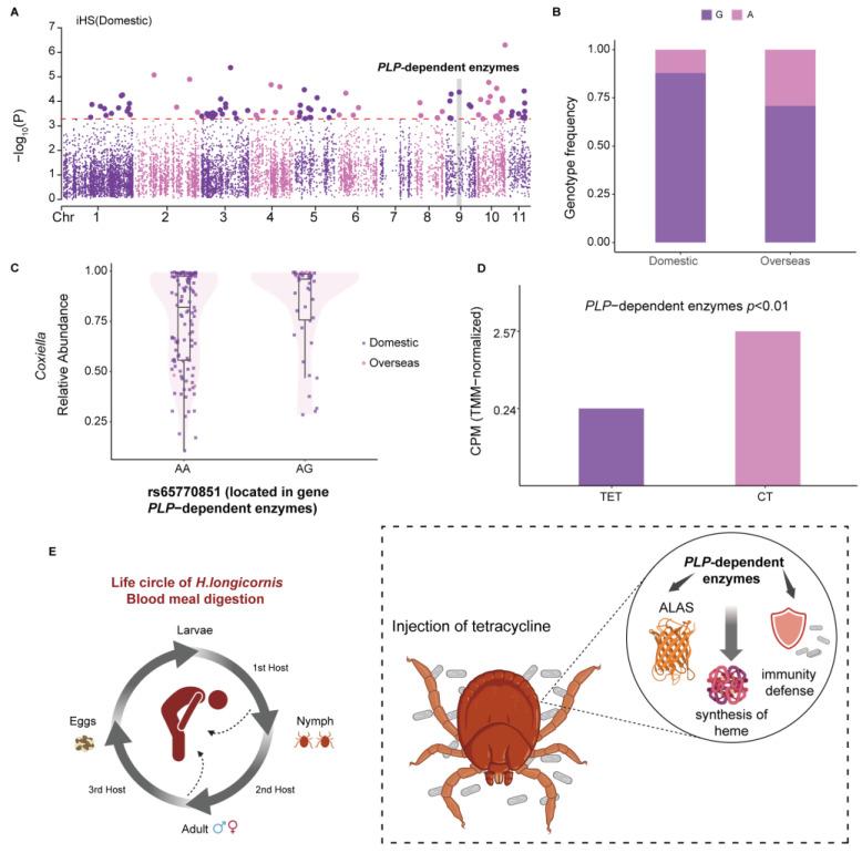 https://cdn.ncbi.nlm.nih.gov/pmc/blobs/6456/12030188/80a569ca91ce/pathogens-14-00306-g004.jpg