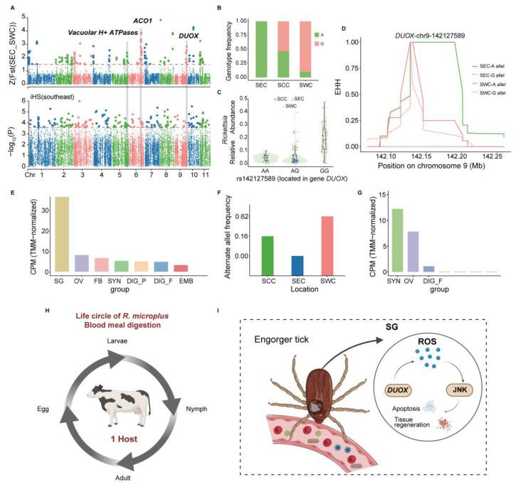 https://cdn.ncbi.nlm.nih.gov/pmc/blobs/6456/12030188/db502806c933/pathogens-14-00306-g003.jpg
