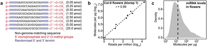 https://cdn.ncbi.nlm.nih.gov/pmc/blobs/6456/5517642/08125813387c/41598_2017_6174_Fig1_HTML.jpg